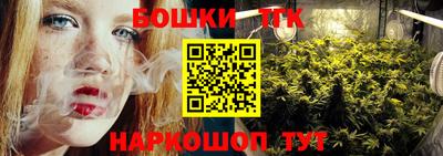 гашик Гусь-Хрустальный