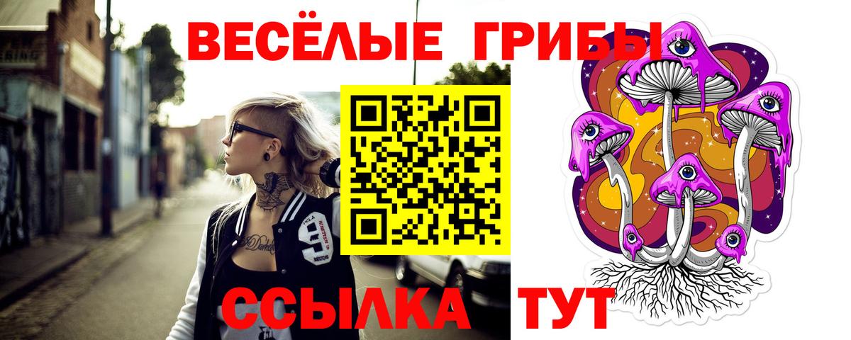 где можно купить   Галлюциногенные грибы GOLDEN TEACHER  Вход с VPN  Псилоцибиновые грибы прущие грибы  Нижний Новгород 