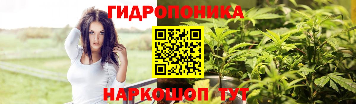 Конопля планчик  Шишки марихуана SATIVA & INDICA  Бошки Шишки конопля  Нижний Новгород 